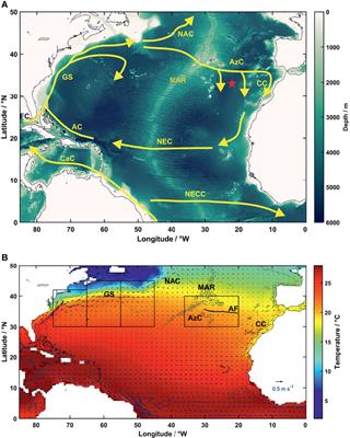 The Forgotten Azores Current: A Long-Term Perspective